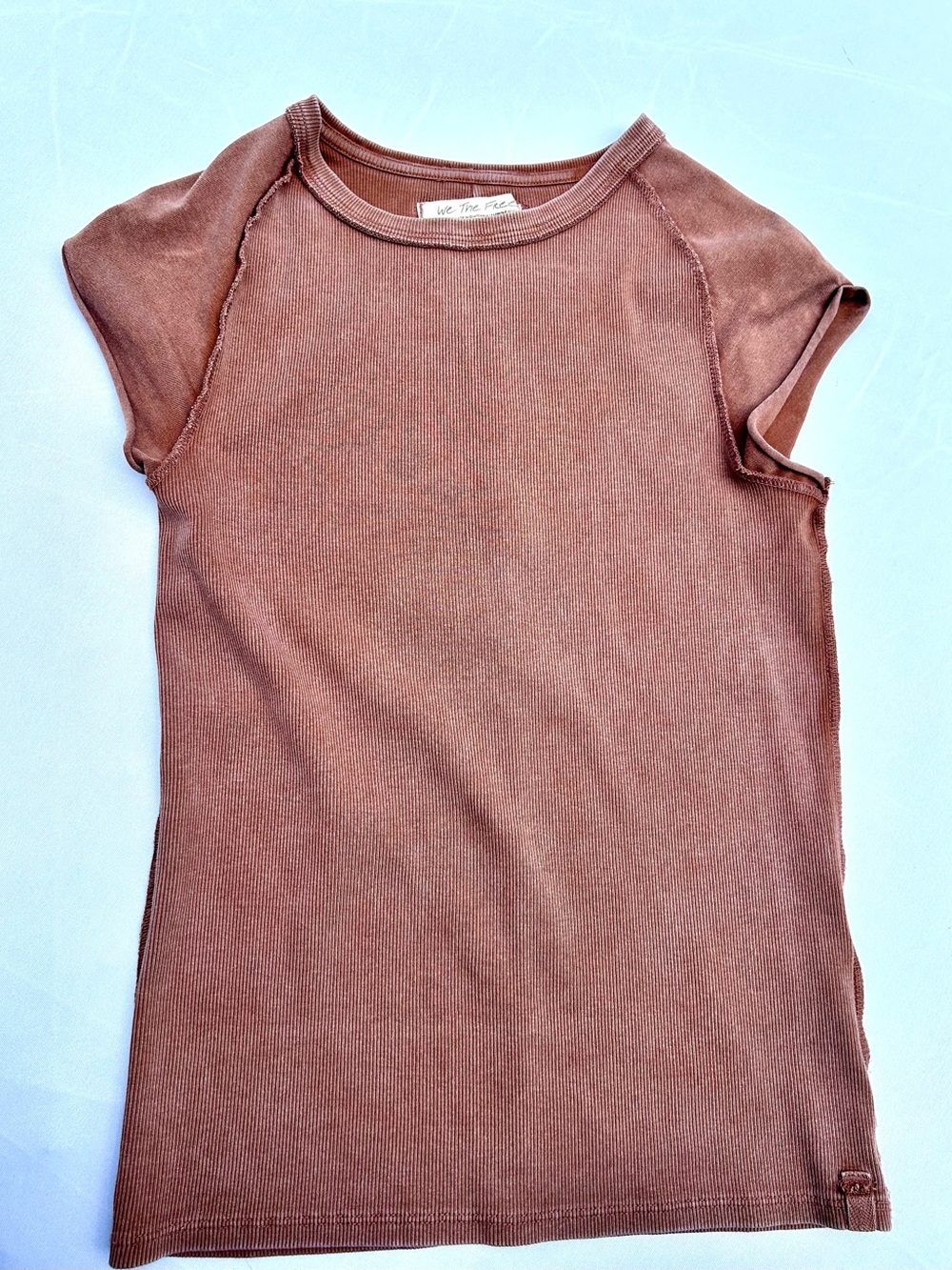 We The Free Short Sleeve Ribbed Tee - Mauve Brown
